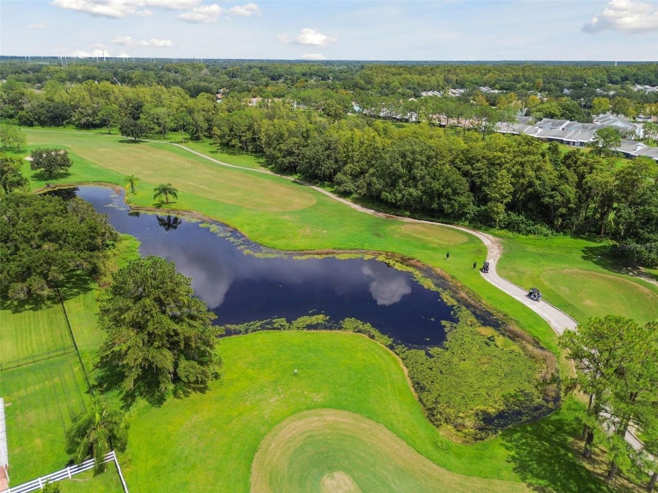 4323 Honey Vista Circle, Tampa, FL 33624 Photo