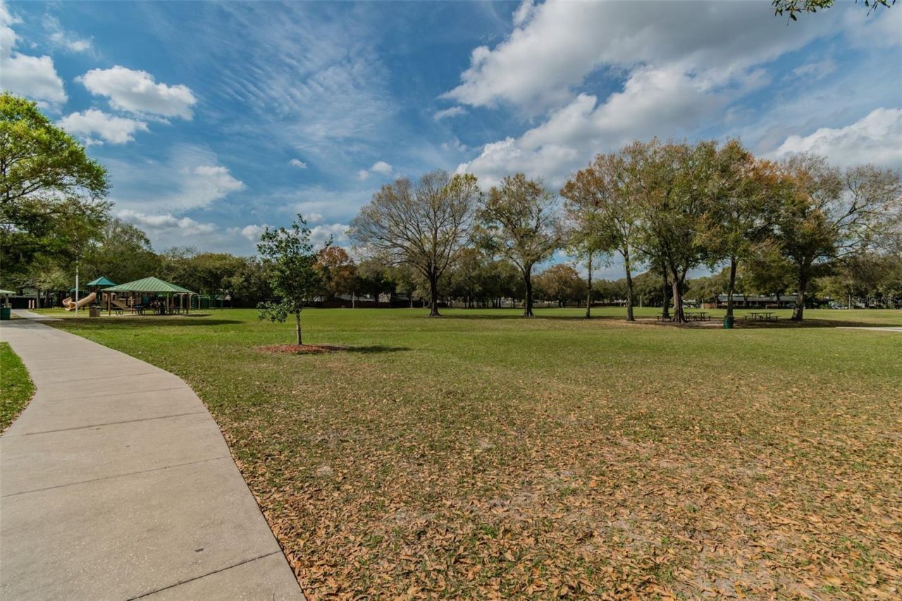 4323 Honey Vista Circle, Tampa, FL 33624 Photo