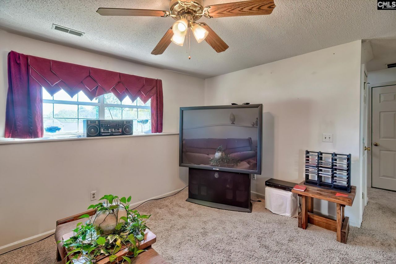 2 Cane Break Court  Photo 26