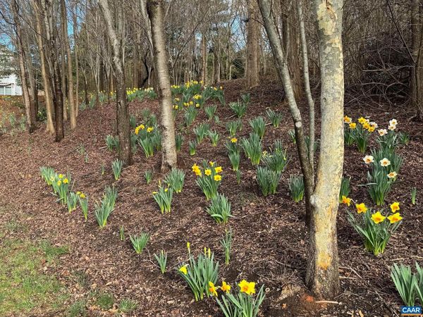 TBD EDMOND DR, Crozet, VA 22932