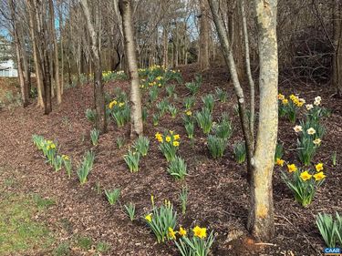 TBD EDMOND DR , Unit 16D, CROZET, VA 22932