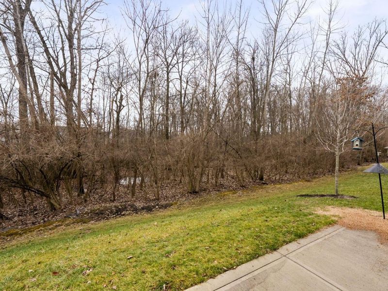 1665 Withers Grove Loop, Grove City, OH 43123 Photo 45