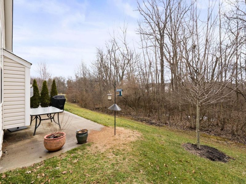 1665 Withers Grove Loop, Grove City, OH 43123 Photo 46