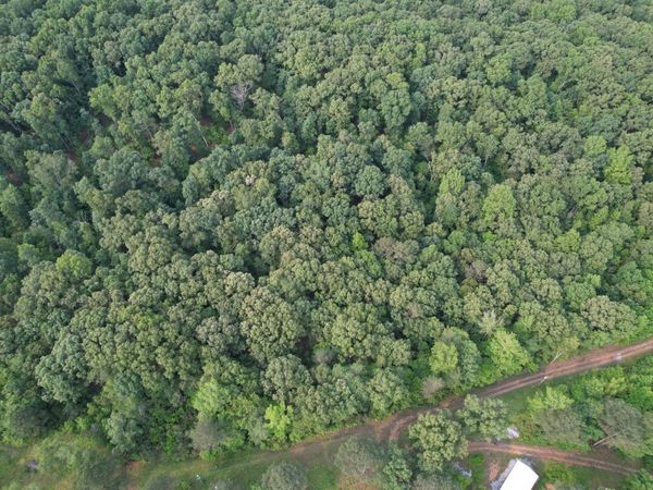 0 Webb Rd Ext , Summertown, TN 38483