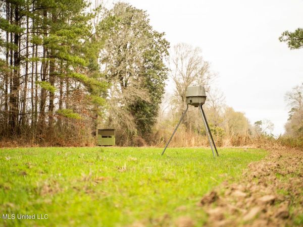 County Road 8 , Laurel, MS 39443