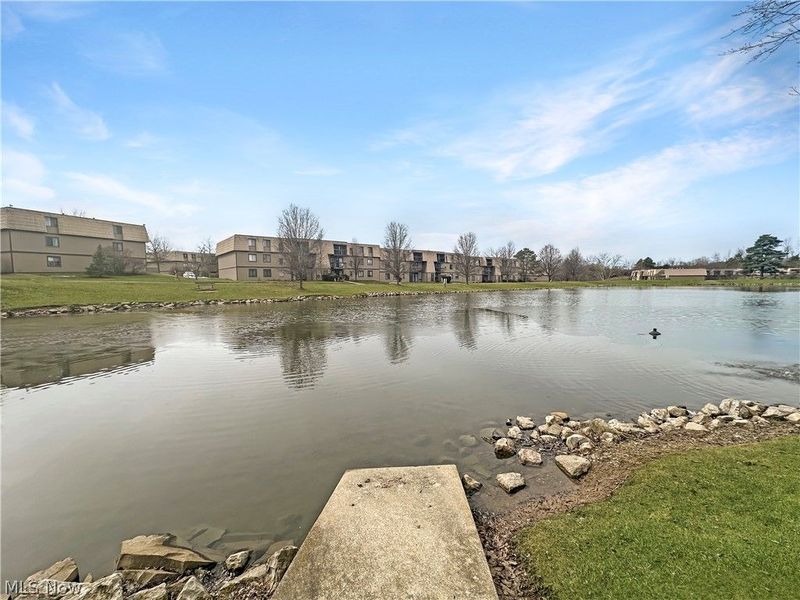 9640 Cove Drive, Unit A-36, North Royalton, OH 44133 Photo 17