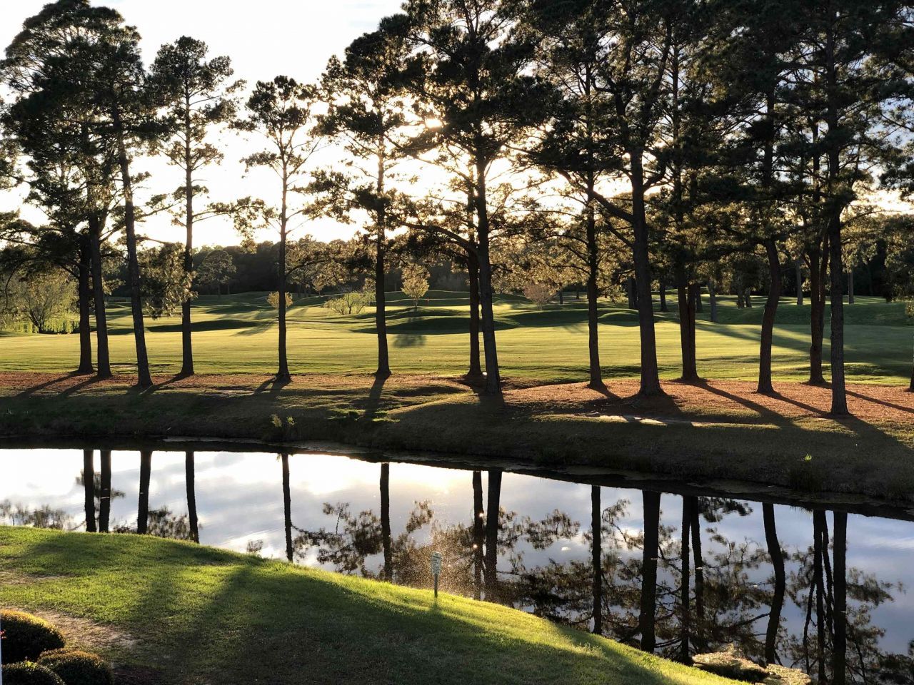 4851 Carnation Circle  Photo 27