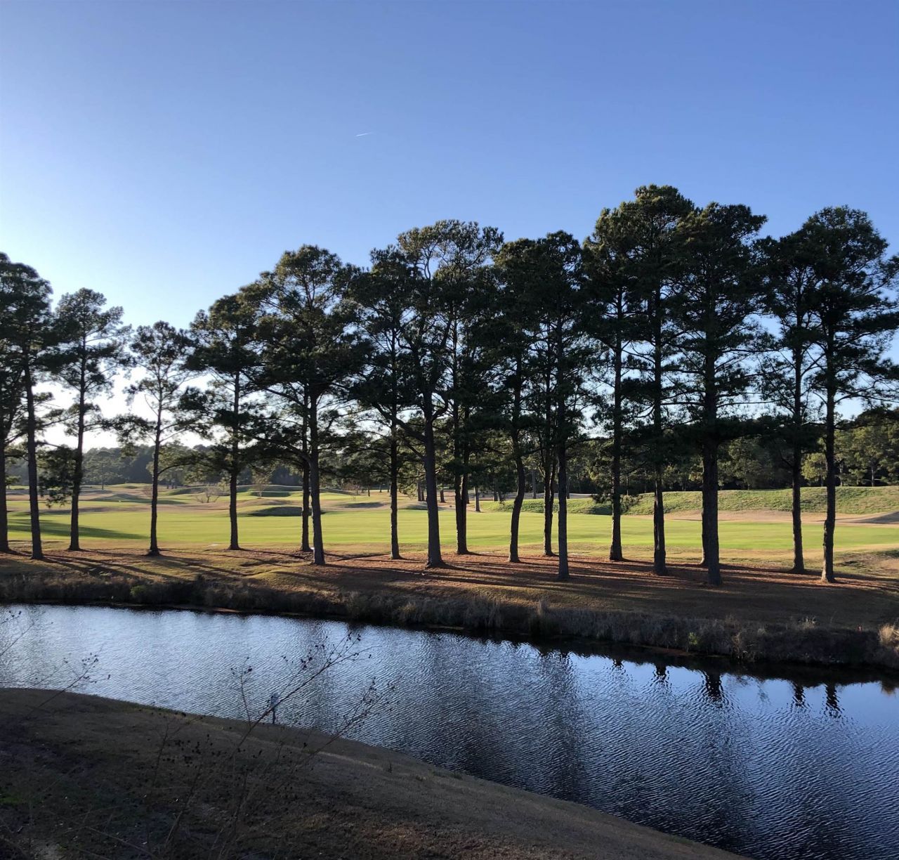 4851 Carnation Circle  Photo 28