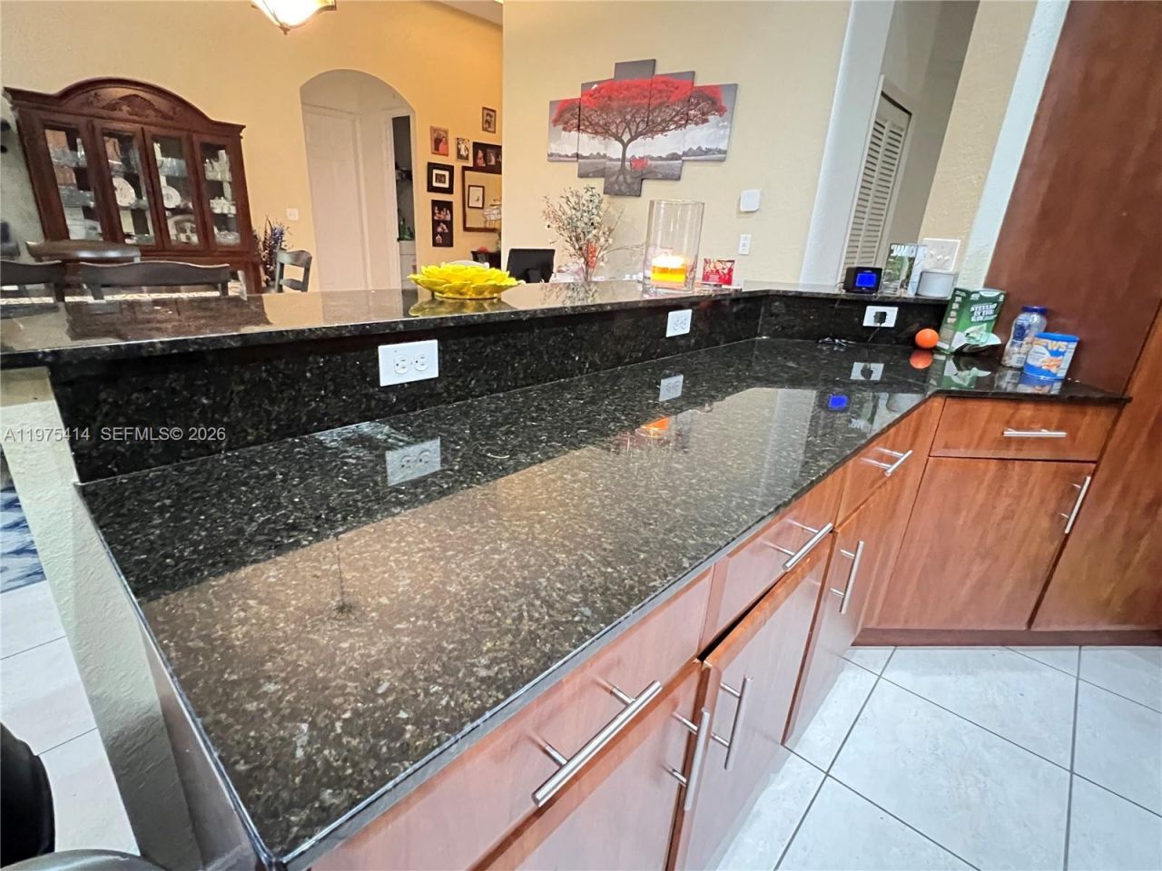 29641 SW 165th Ct, Homestead, FL 33033 Photo