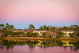 3012 Sugarberry Lane photo 4