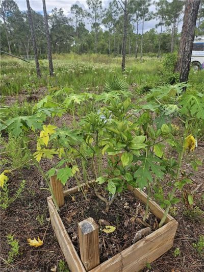 5833 Stewart Ln , Labelle, FL 33935 Photo