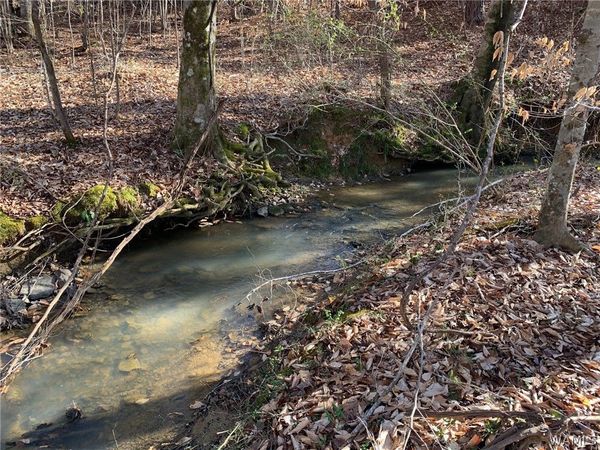 2 MOUNTAINSIDE Drive , West Blocton, AL 35184