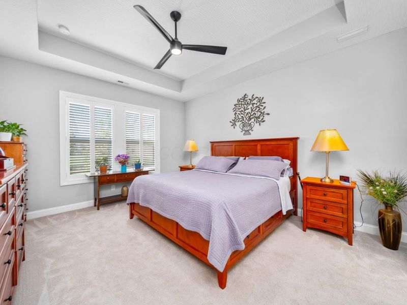 369 Millers Cove Court, Sunbury, OH 43074 Photo 23