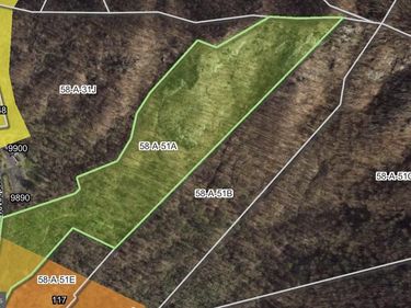 31 ORCHARD ROAD, LOVINGSTON, VA 22949