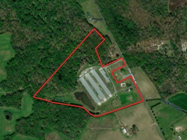 COOL SPRING RD , MARYDEL, MD 21649