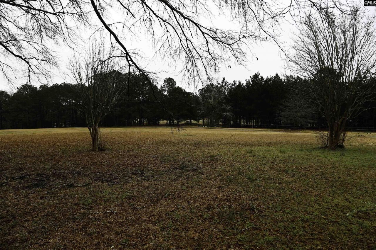 611 Longtown Road  Photo 15