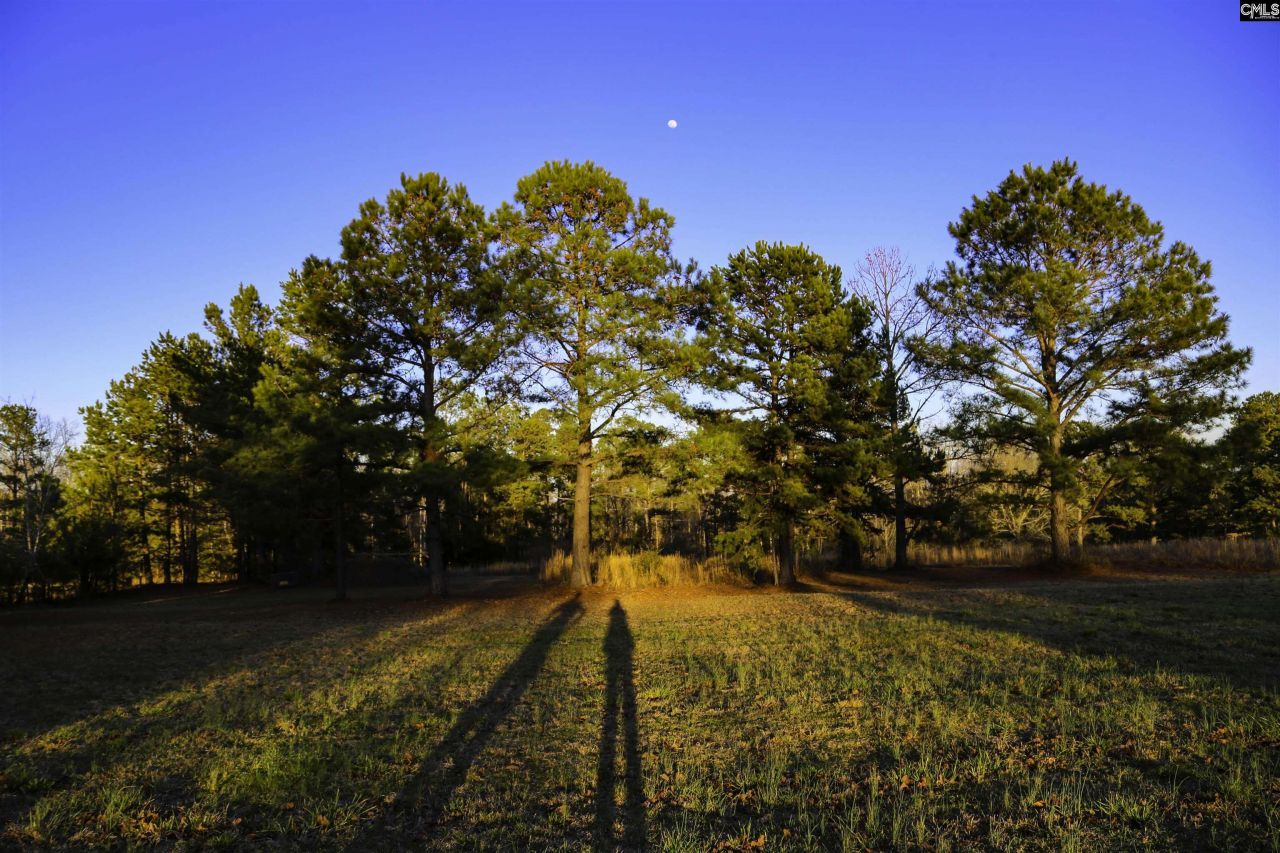 611 Longtown Road  Photo 25