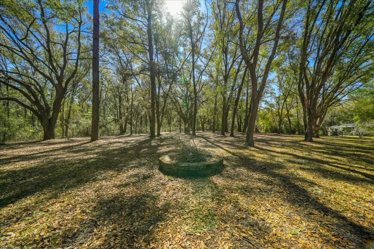 8583 N Tibet Terrace, Dunnellon, FL 34433 Photo