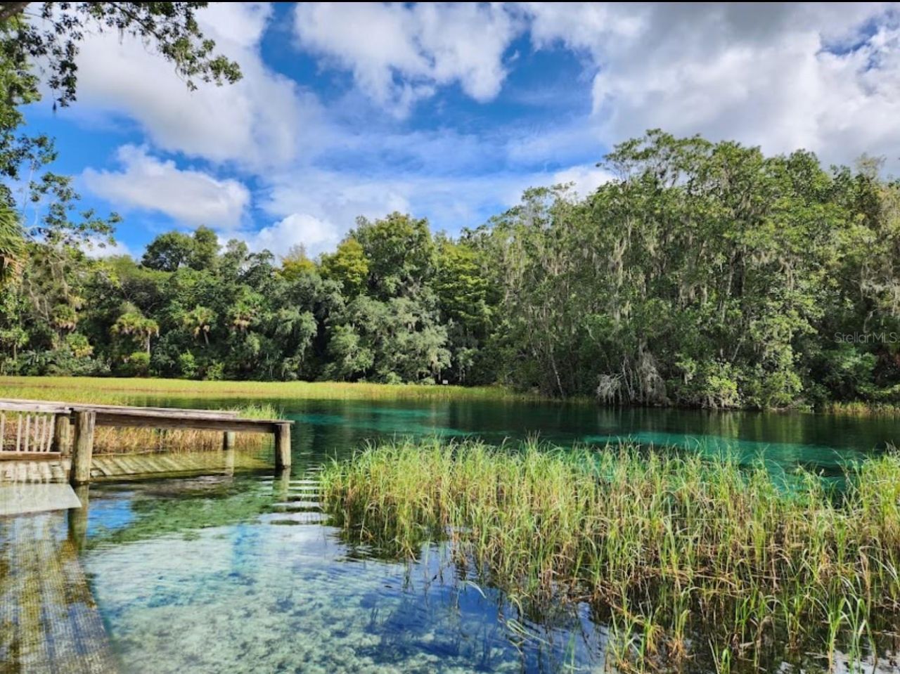 8583 N Tibet Terrace, Dunnellon, FL 34433 Photo