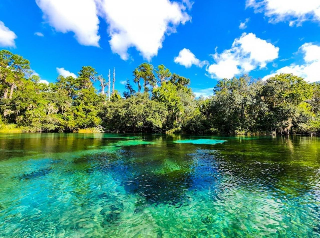 8583 N Tibet Terrace, Dunnellon, FL 34433 Photo