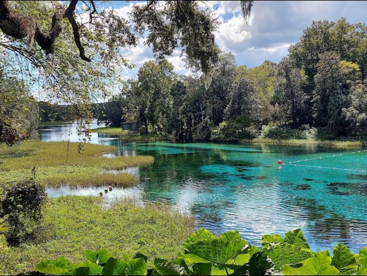 8583 N Tibet Terrace, Dunnellon, FL 34433 Photo