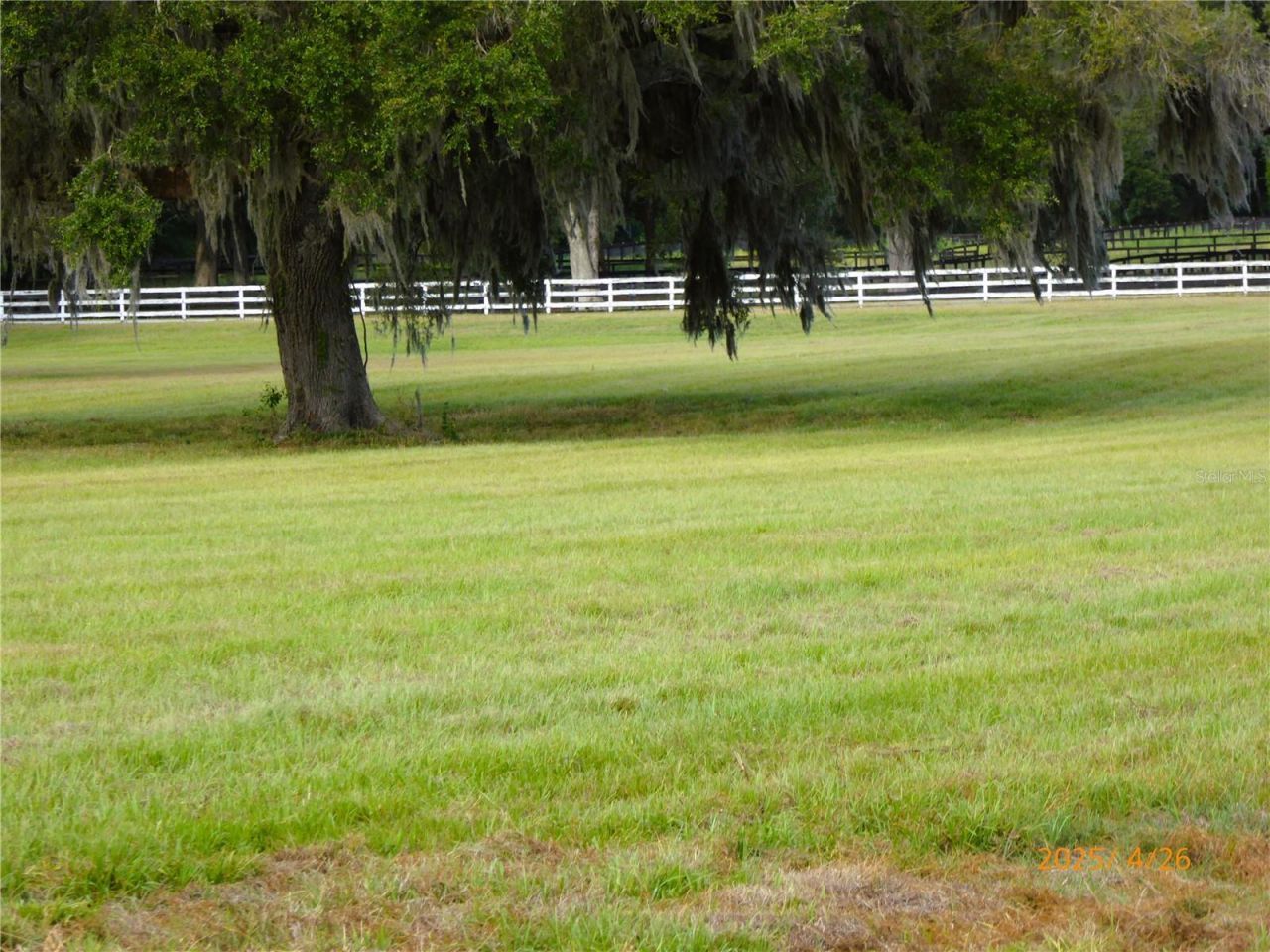 12750 W Highway 40 W, Ocala, FL 34481 Photo