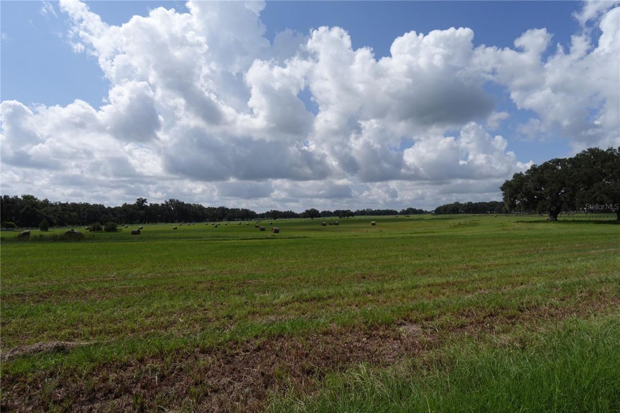 12750 W Highway 40 W, Ocala, FL 34481 Photo