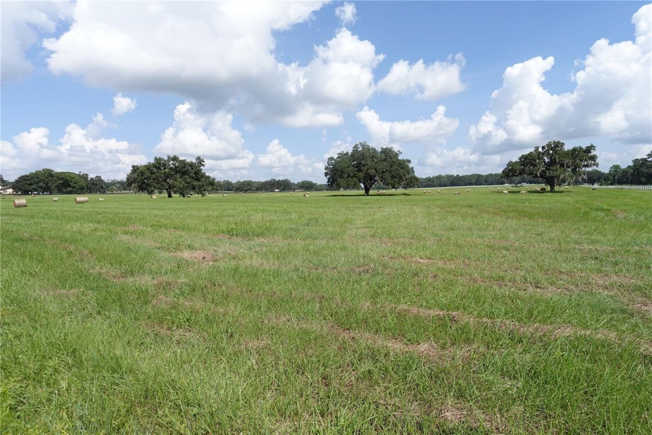 12750 W Highway 40 W, Ocala, FL 34481 Photo
