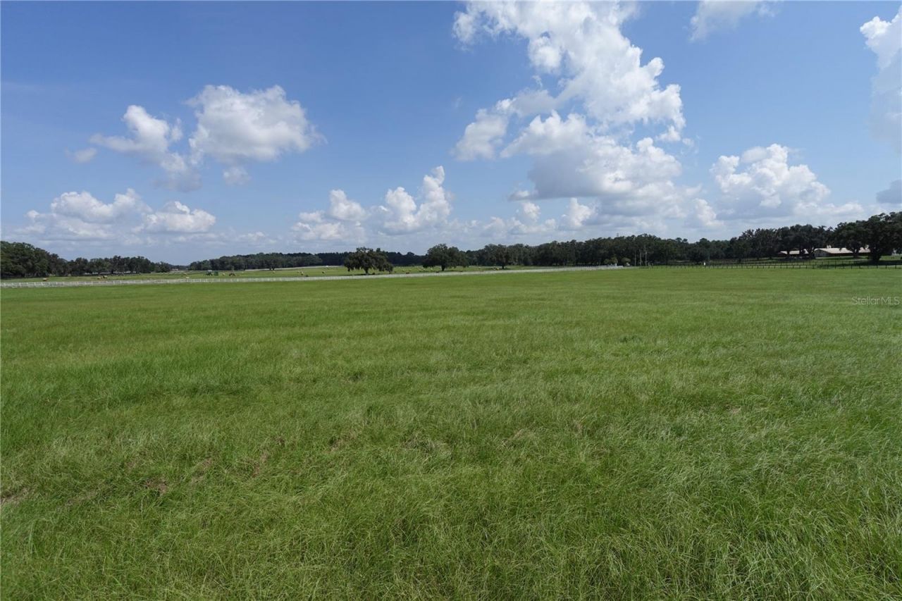 12750 W Highway 40 W, Ocala, FL 34481 Photo