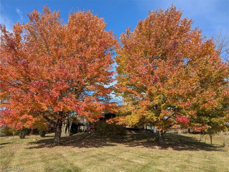 380 E 2nd Street, Zoar, OH 44697 Photo 49