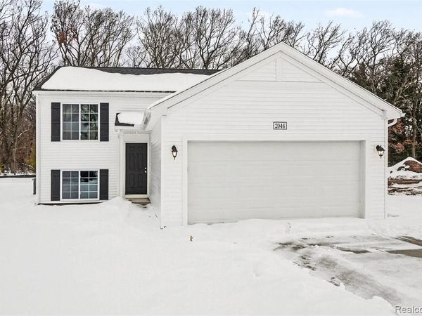 8068 Moonlight Creek Lane, Handy Twp, MI 48836