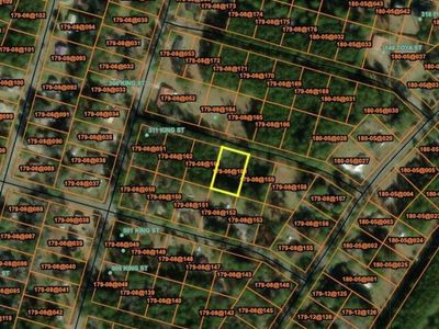 0 Austin Drive, Walterboro, SC 29488