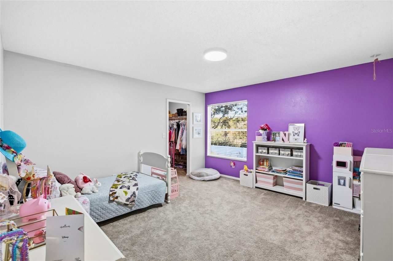 13951 Noble Park Drive, Odessa, FL 33556 Photo