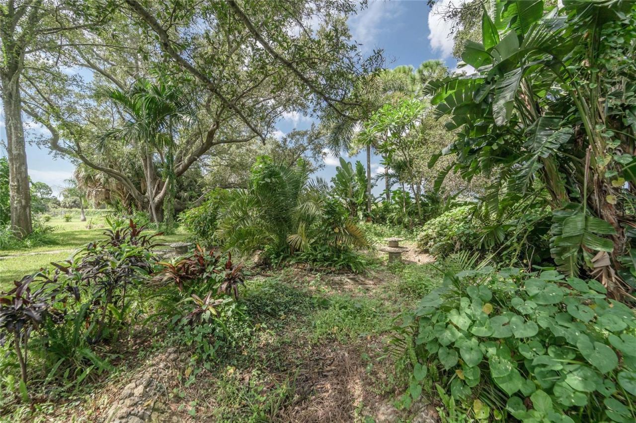 3834 29 Avenue, Saint Petersburg, FL 33711 Photo