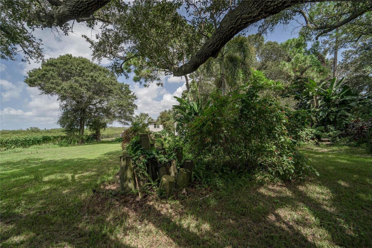 3834 29 Avenue, Saint Petersburg, FL 33711 Photo