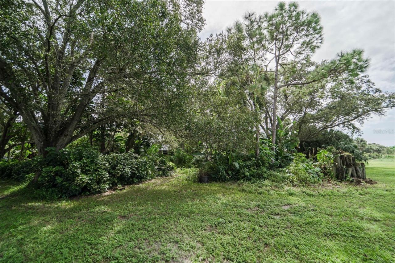 3834 29 Avenue, Saint Petersburg, FL 33711 Photo