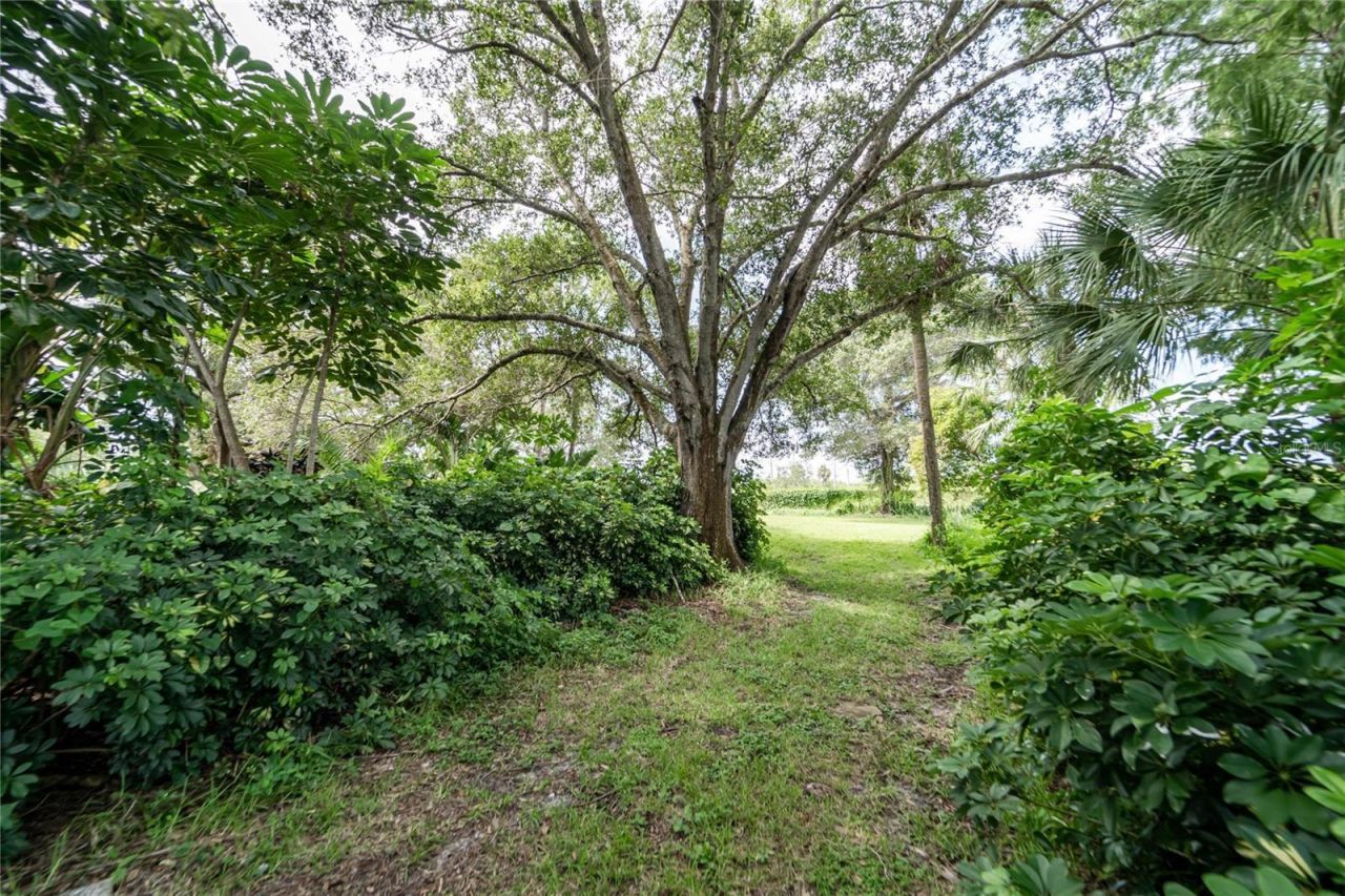 3834 29 Avenue, Saint Petersburg, FL 33711 Photo