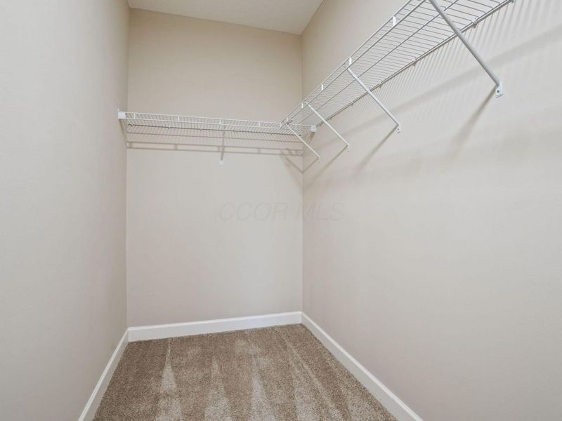 5137 Foxtail Pine Street, Dublin, OH 43016 Photo 25