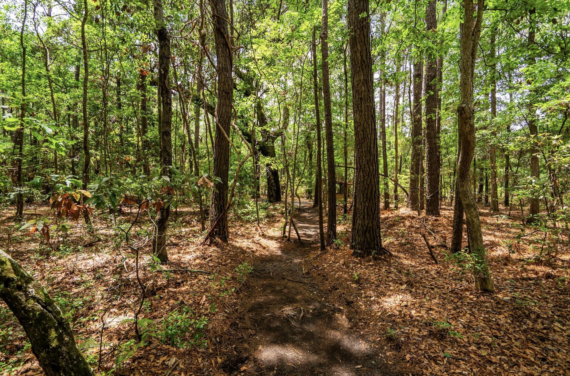 2495 Edenforest Road Photo 58