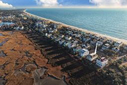 118 Sea Oats Circle  photo 4