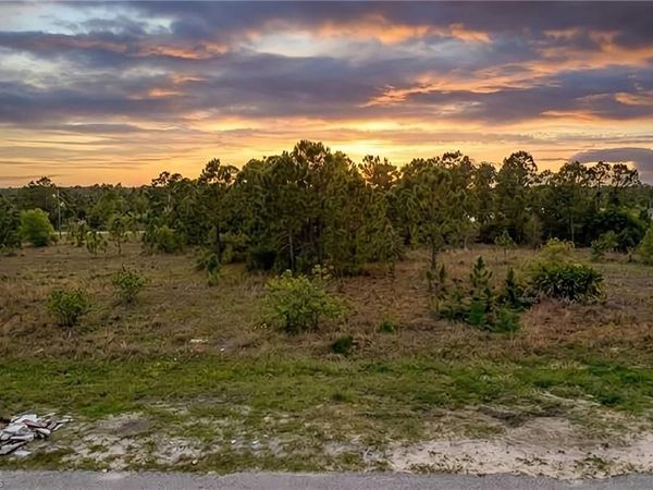 1247 Columbus BLVD, FORT MYERS, FL 33913