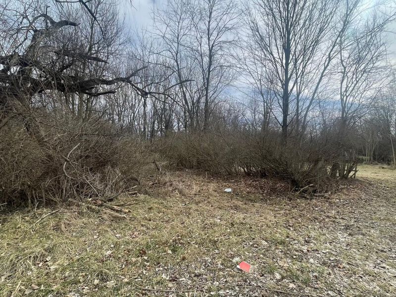 605 College Way, Urbana, OH 43078 Photo 3