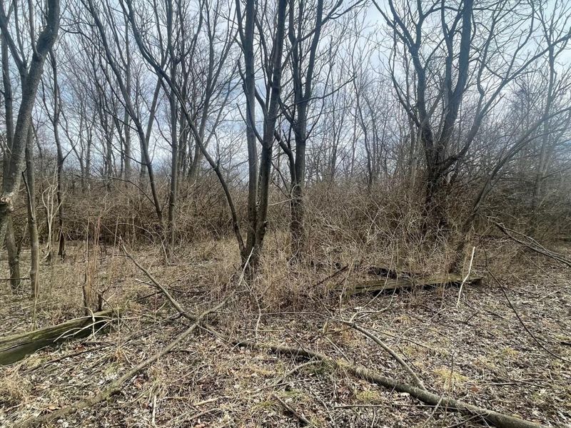 605 College Way, Urbana, OH 43078 Photo 5