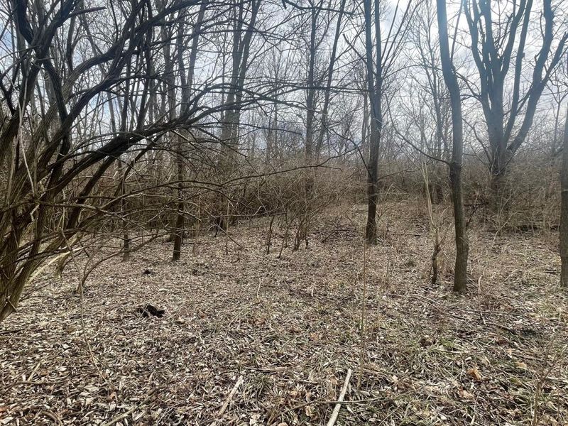 605 College Way, Urbana, OH 43078 Photo 7