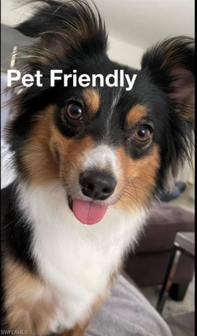 3999 Guava Dr , Naples, FL 34104 Photo