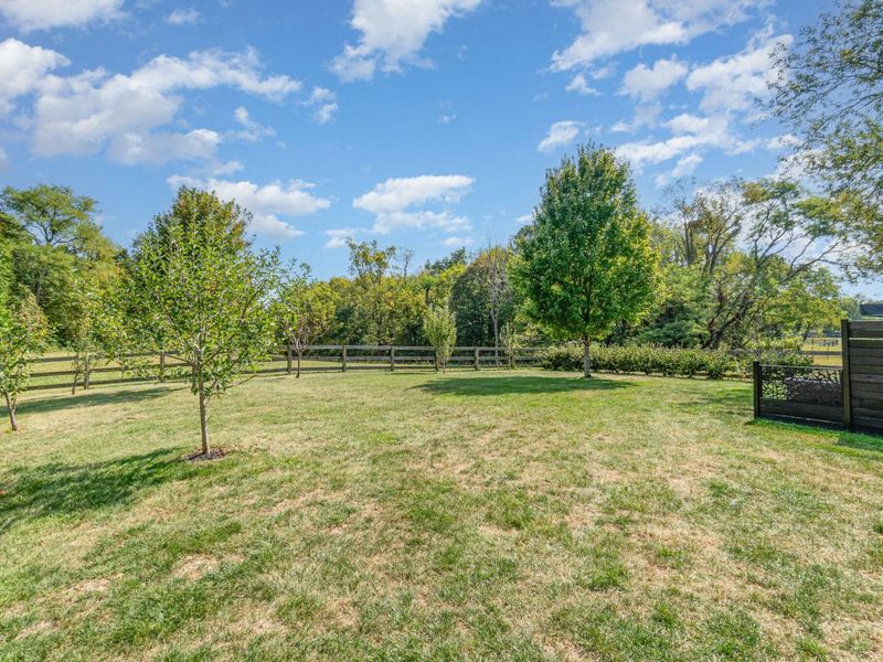 943 Lakepointe Court, Union, KY 41091 Photo 26