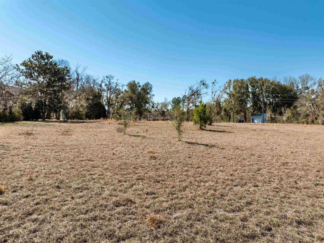 Vacant NW Live Oak Circle, Jennings, FL 32053 Photo