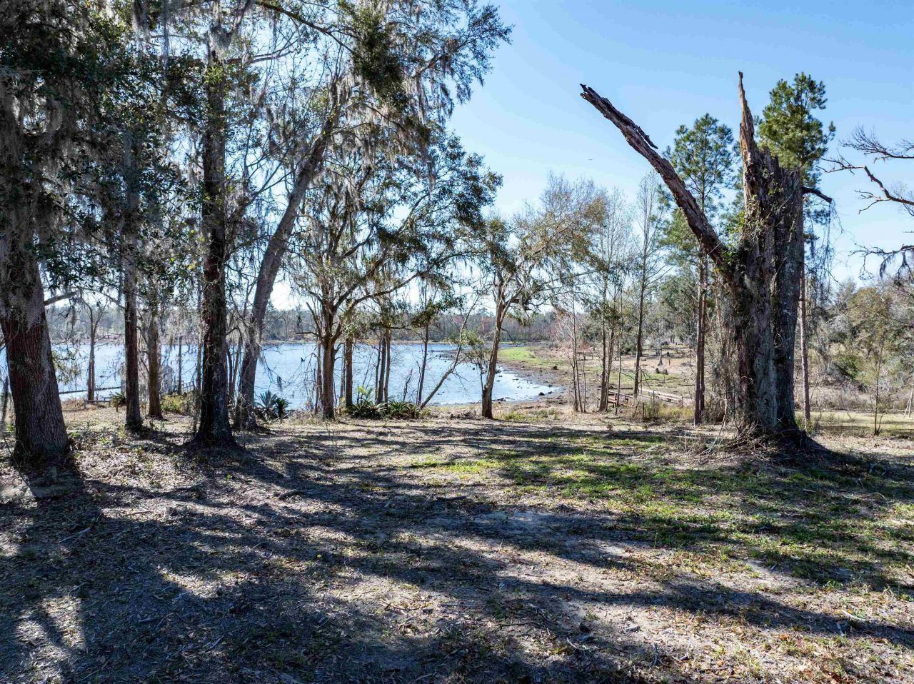 Vacant NW Live Oak Circle, Jennings, FL 32053 Photo