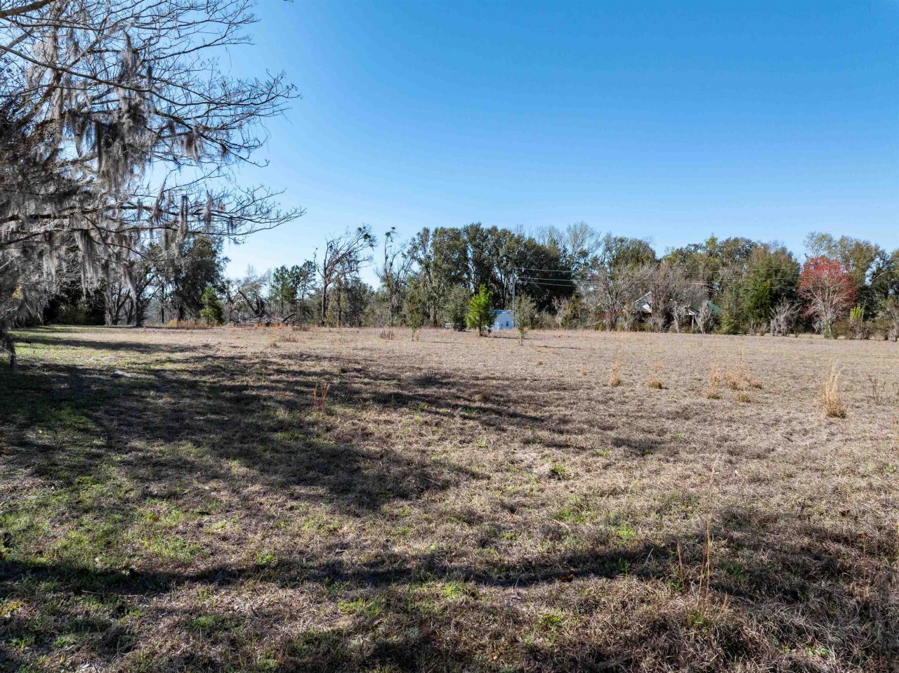 Vacant NW Live Oak Circle, Jennings, FL 32053 Photo