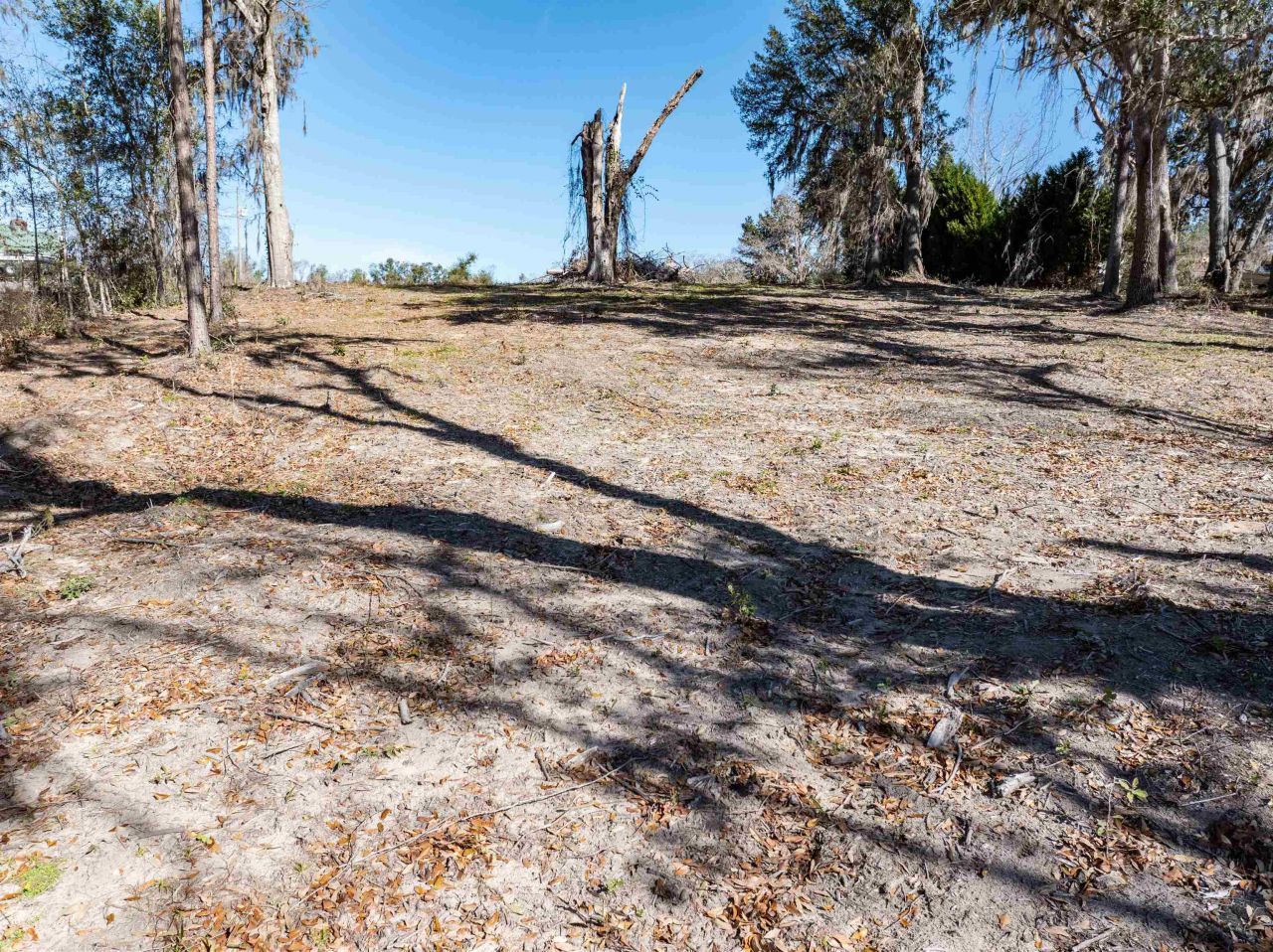 Vacant NW Live Oak Circle, Jennings, FL 32053 Photo